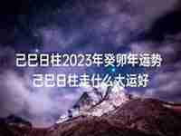 2022年己巳日运势