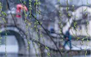 春雨绵绵