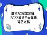 寅时狗2020运势