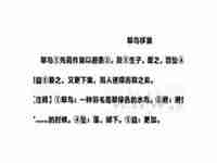 翠鸟移巢文言文翻译