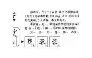 蓉的意思