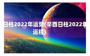 2022年辛酉运势