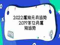 12月属狗运势2019