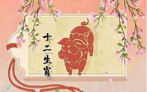 属猪女今年财运运势