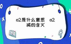 o2是什么意思