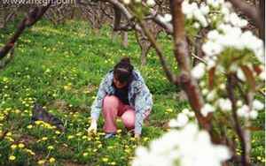 梦见我和别人挖野菜