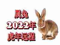 生肖兔虎年2022运势