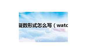 watch复数