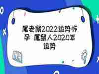 属鼠2022怀孕运势