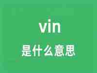 vin是什么意思