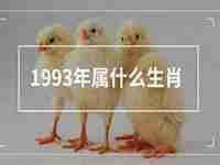 1993年属