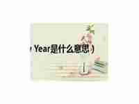 newyear是什么意思