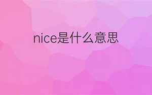 nice翻译