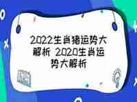 2022年亥时猪运势