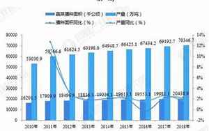 未来5年蔬菜运势