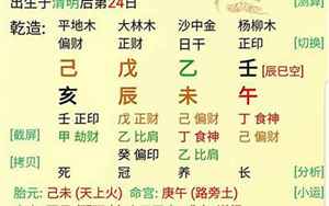 真八字排盘