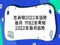 生肖狗每月运势2022