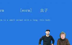 worm什么意思