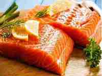 salmon