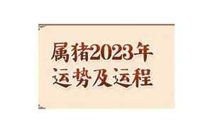 属猪人2023每月运势