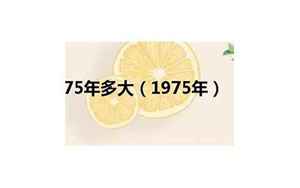 1975年多大