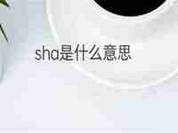 sha是什么意思