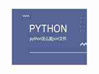 python怎么读