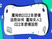 2022狗年的感情运势