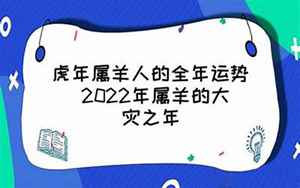 虎年羊人运势2022年