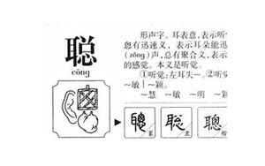 聪的意思