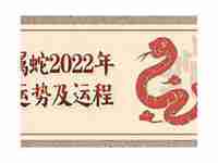 2022属蛇逐月运势