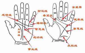 梦见别人手掌