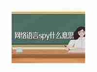 spy什么意思