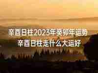 2023年辛酉日运势