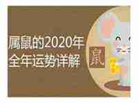 2021鼠年全年运势