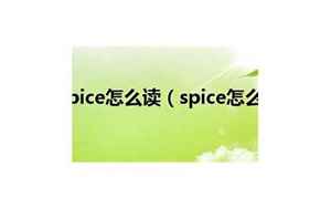 spice怎么读