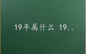 19年属什么生肖