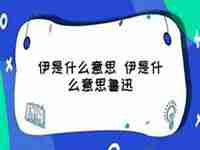 伊代表什么意思