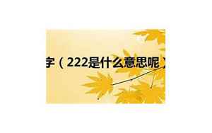 222是什么意思