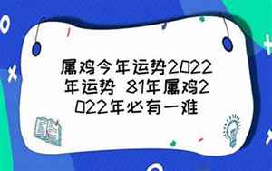 属鸡牛年运势2022年