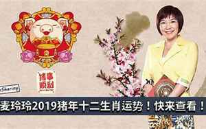 虎运势2019麦玲玲