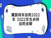 2022鼠狗人运势