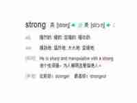 strong中文翻译