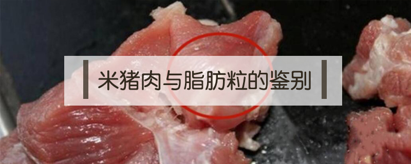 米猪肉和脂肪粒区别图(猪肉脂肪颗粒与米猪肉区分图片)