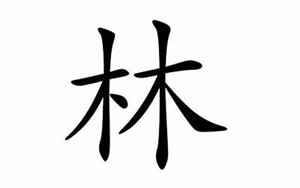 林姓名字大全(林姓宝宝100分名字)