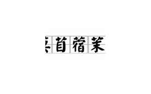 艹字头的字(草字头的字有哪些)