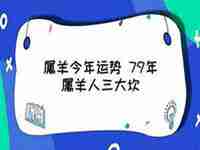 79年男事业运势(79年属羊男命2023年财运怎么样)