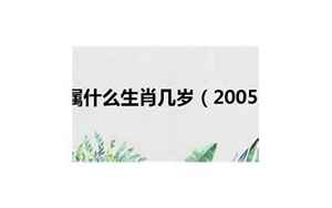 05年多大了(2005年属什么生肖)