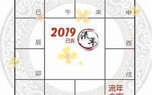 己亥年生人2019运势(2019年已亥年是什么命)