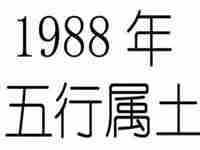 1988年五行属什么命(1988年出生是什么命)